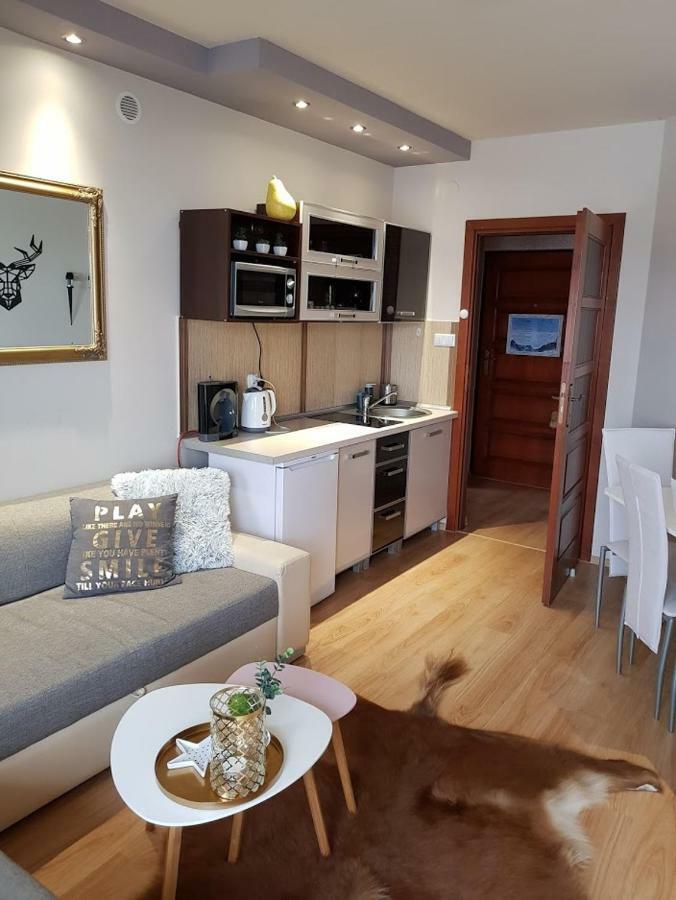 Apartament Morskie Oko Kościelisko Exterior foto